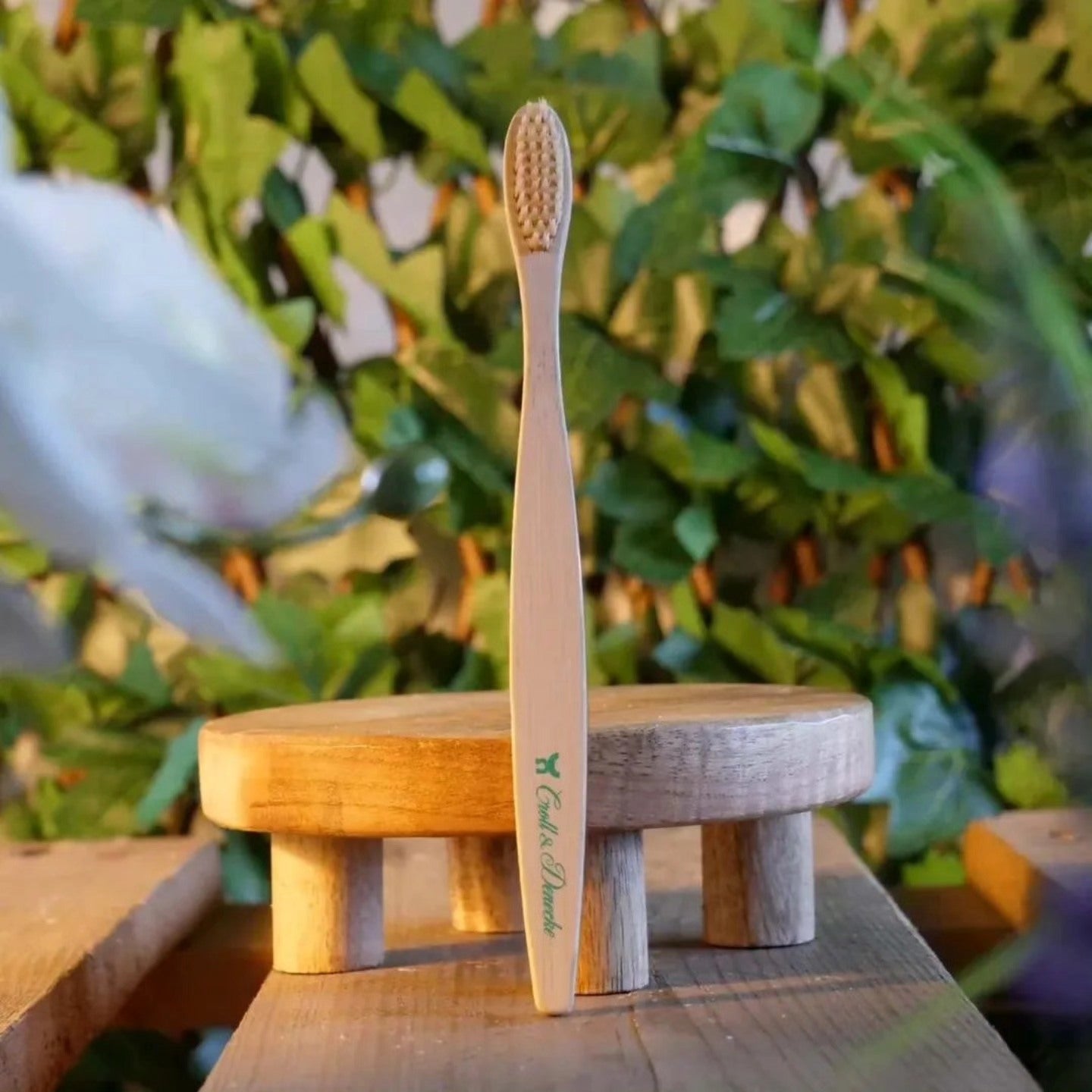 Brosse à Dents en Bois – Naturelle & Éco-Responsable