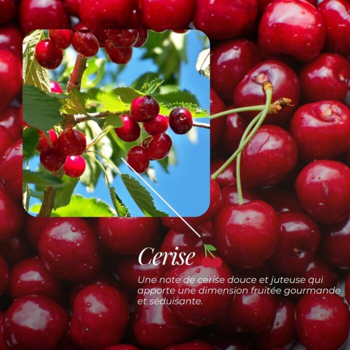 Savon Surgras « Lison » | Cerise, Fruitée, Boisée & Vanille
