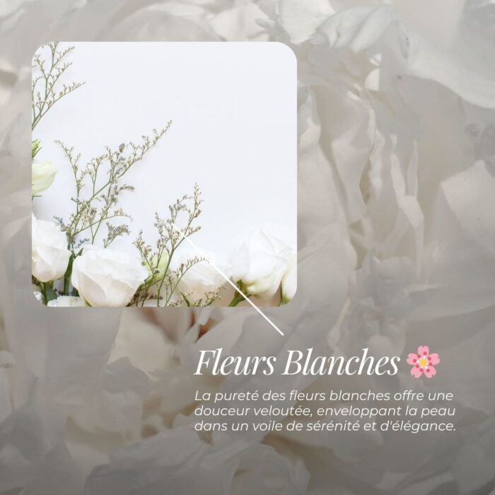 Savon Surgras « Rose » | Rose, Fleurs Blanches, Cèdre & Musc