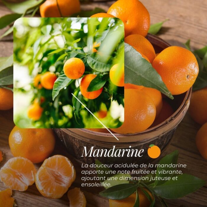 Savon Surgras « Camille » | Bergamote, Mandarine, Fruitée & Vanille